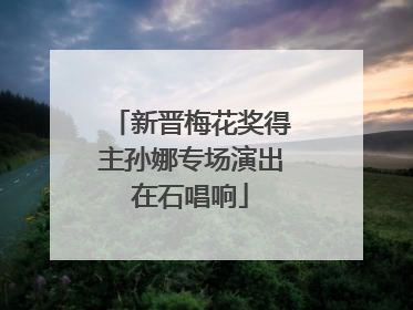 新晋梅花奖得主孙娜专场演出在石唱响