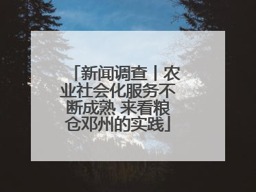 新闻调查丨农业社会化服务不断成熟 来看粮仓邓州的实践