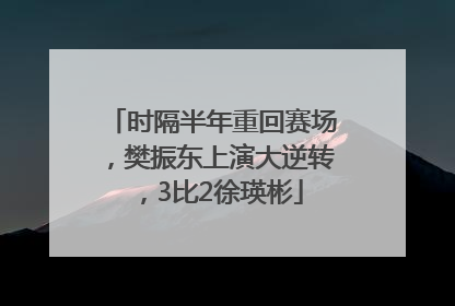 时隔半年重回赛场，樊振东上演大逆转，3比2徐瑛彬