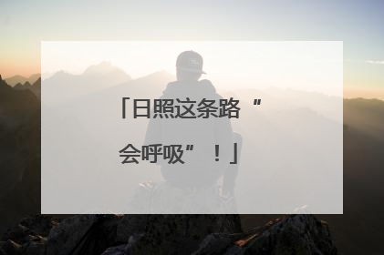 日照这条路“会呼吸”！