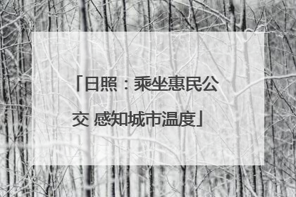 日照：乘坐惠民公交 感知城市温度