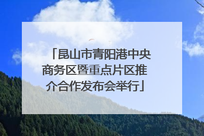 昆山市青阳港中央商务区暨重点片区推介合作发布会举行