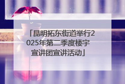 昆明拓东街道举行2025年第二季度楼宇宣讲团宣讲活动