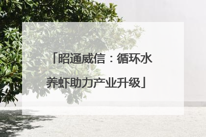 昭通威信：循环水养虾助力产业升级