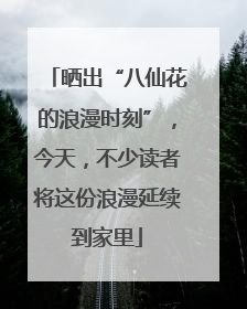 晒出“八仙花的浪漫时刻”，今天，不少读者将这份浪漫延续到家里
