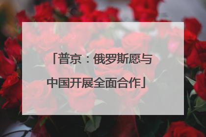 普京：俄罗斯愿与中国开展全面合作
