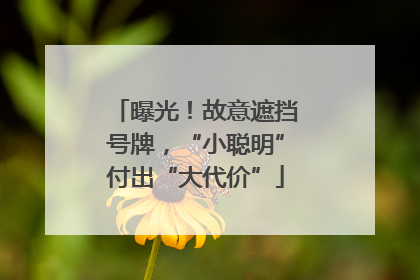曝光！故意遮挡号牌，“小聪明”付出“大代价”