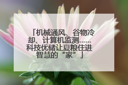 机械通风、谷物冷却、计算机监测……科技优储让夏粮住进智慧的“家”