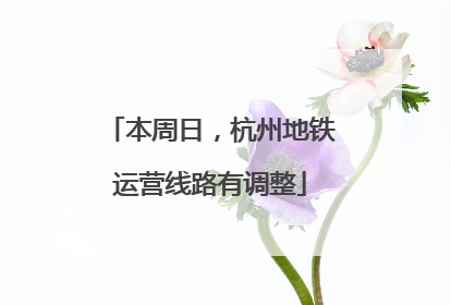本周日，杭州地铁运营线路有调整