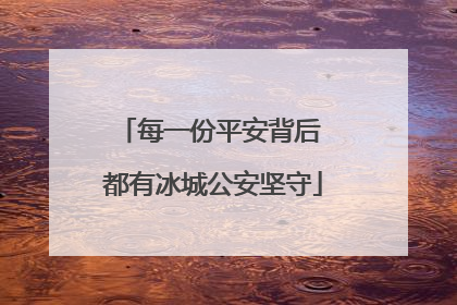 每一份平安背后 都有冰城公安坚守