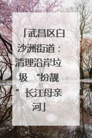 武昌区白沙洲街道：清理沿岸垃圾 “扮靓”长江母亲河