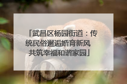 武昌区杨园街道：传统民俗邂逅婚育新风 共筑幸福和谐家园