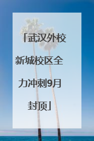 武汉外校新城校区全力冲刺9月封顶