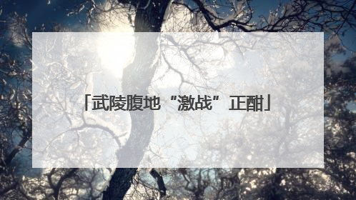 武陵腹地“激战”正酣