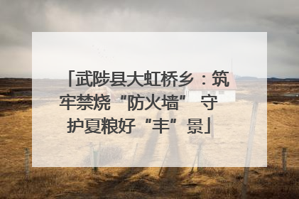 武陟县大虹桥乡：筑牢禁烧“防火墙” 守护夏粮好“丰”景