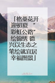 格桑花开迎初夏 “彩虹公路”绘锦绣 德兴以生态之笔绘就宜居幸福图景
