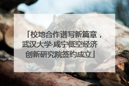 校地合作谱写新篇章，武汉大学·咸宁低空经济创新研究院签约成立