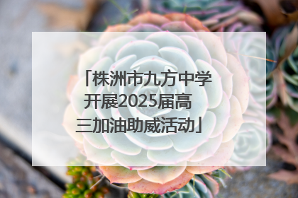 株洲市九方中学开展2025届高三加油助威活动
