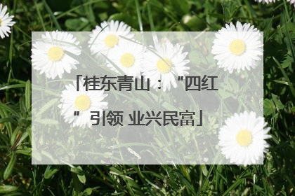 桂东青山：“四红”引领 业兴民富
