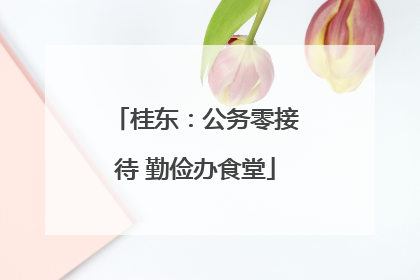 桂东：公务零接待 勤俭办食堂