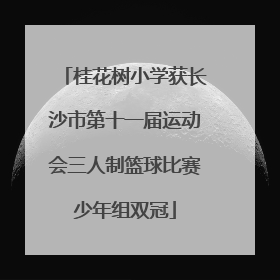 桂花树小学获长沙市第十一届运动会三人制篮球比赛少年组双冠