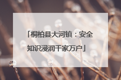 桐柏县大河镇：安全知识浸润千家万户
