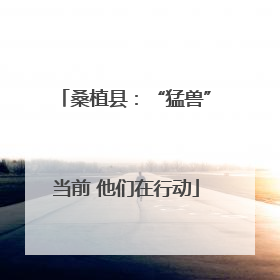 桑植县：“猛兽”当前 他们在行动