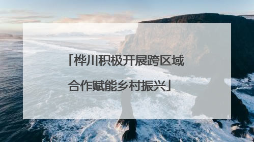 桦川积极开展跨区域合作赋能乡村振兴
