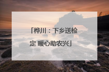 桦川：下乡送检定 暖心助农兴