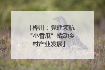 桦川：党建领航“小香瓜”撬动乡村产业发展