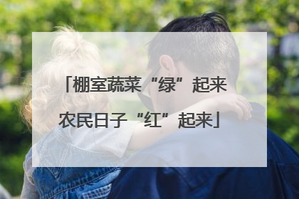 棚室蔬菜“绿”起来 农民日子“红”起来