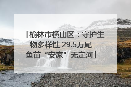 榆林市横山区：守护生物多样性 29.5万尾鱼苗“安家”无定河