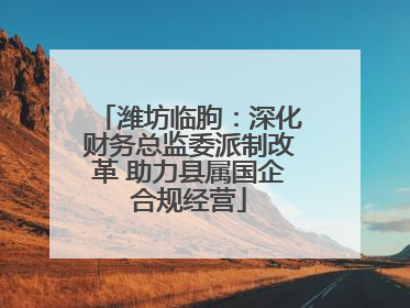 潍坊临朐：深化财务总监委派制改革 助力县属国企合规经营
