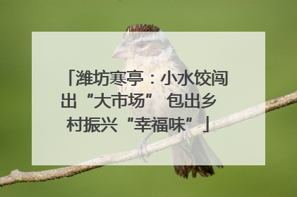 潍坊寒亭：小水饺闯出“大市场” 包出乡村振兴“幸福味”