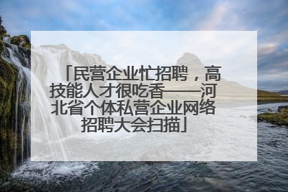 民营企业忙招聘，高技能人才很吃香——河北省个体私营企业网络招聘大会扫描