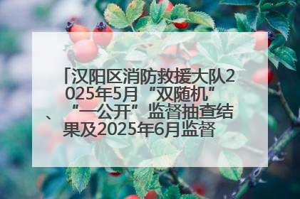 汉阳区消防救援大队2025年5月“双随机”、“一公开”监督抽查结果及2025年6月监督抽查任务公示