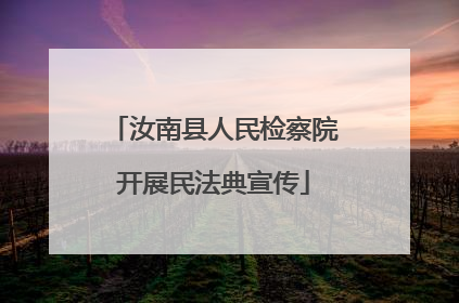 汝南县人民检察院开展民法典宣传