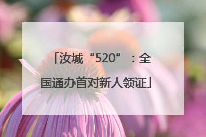 汝城“520”：全国通办首对新人领证