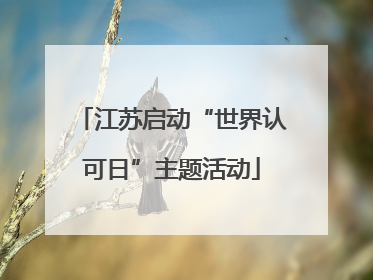 江苏启动“世界认可日”主题活动