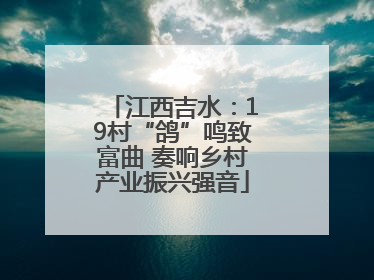 江西吉水：19村“鸽”鸣致富曲 奏响乡村产业振兴强音