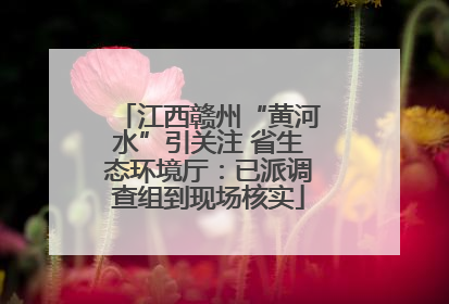 江西赣州“黄河水”引关注 省生态环境厅：已派调查组到现场核实