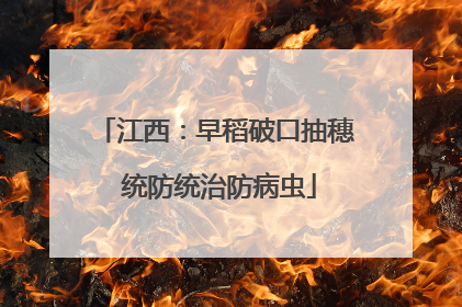 江西：早稻破口抽穗 统防统治防病虫