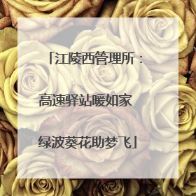 江陵西管理所：高速驿站暖如家 绿波葵花助梦飞