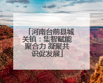 河南台前县城关镇：集智赋能聚合力 凝聚共识促发展