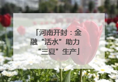 河南开封：金融“活水”助力“三夏”生产