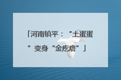 河南镇平：“土蛋蛋”变身“金疙瘩”