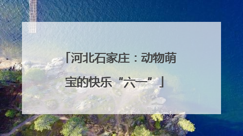 河北石家庄：动物萌宝的快乐“六一”