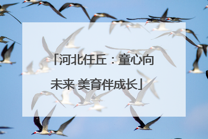 河北任丘：童心向未来 美育伴成长