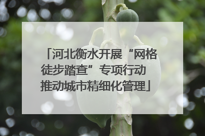 河北衡水开展“网格徒步踏查”专项行动 推动城市精细化管理