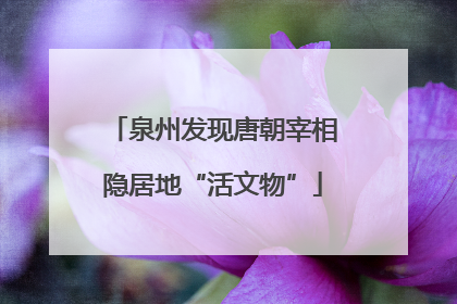 泉州发现唐朝宰相隐居地“活文物”